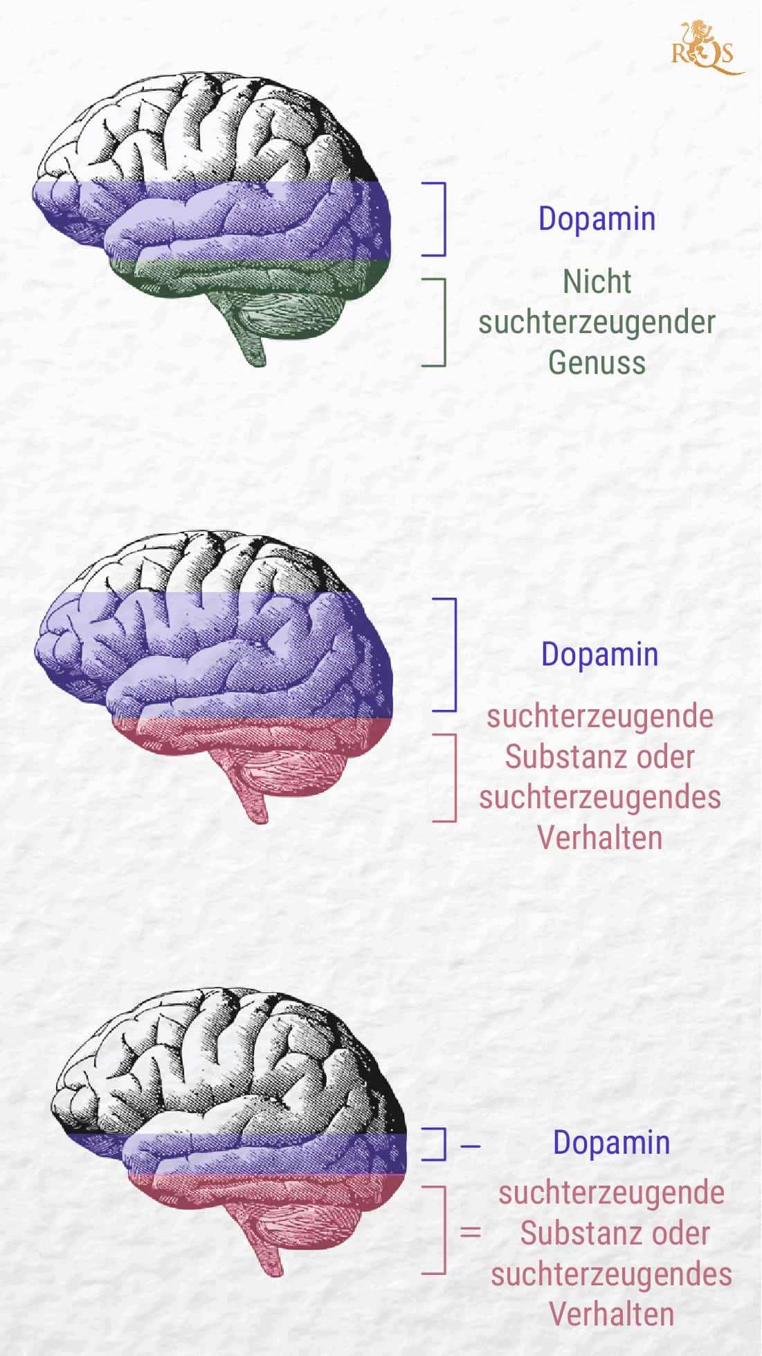 Was ist Sucht? Was ist Sucht?