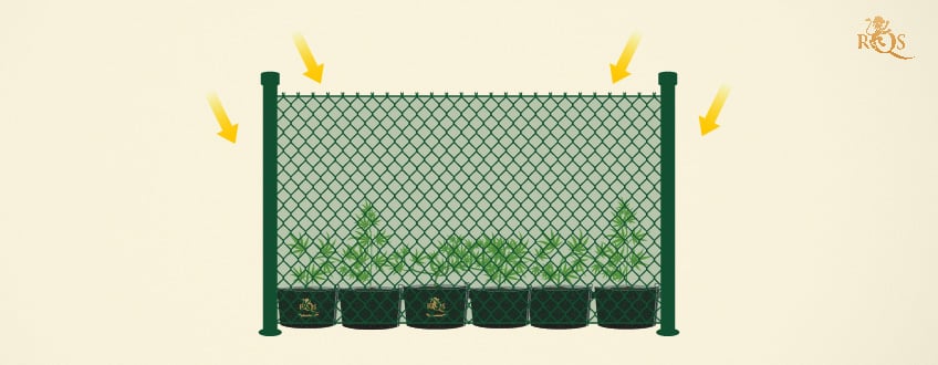 Grüner Gitterzaun zum Verstecken Ihrer Pflanze