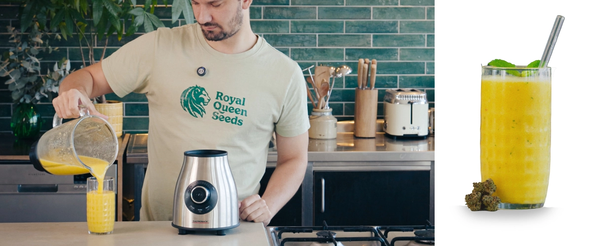 Schritte 4–5: Den Cannabis-Smoothie cremig mixen und sofort servieren Mixen eines Mango-Cannabis-Smoothies und Einschenken des fertigen Getränks in ein Glas mit cremiger, glatter Konsistenz.