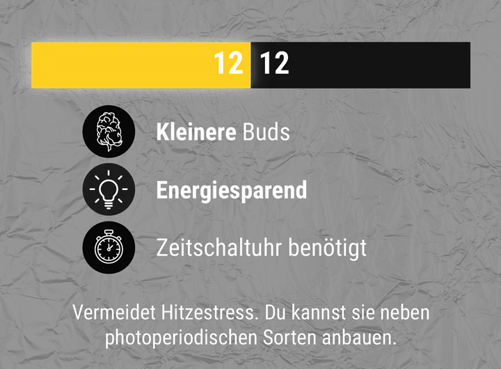 12:12 Ratio 12:12 Ratio