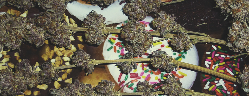 Green Crack Punch Green Crack Punch