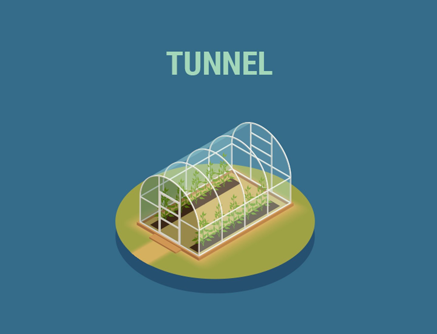 Polytunnel-Gewächshäuser