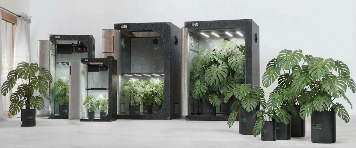 Indoor-Growzelte mit Growbags und Pflanzbehältern in einem modernen Setup, das optimierte Drainage, Wurzelbelüftung und effiziente Wassernutzung zeigt