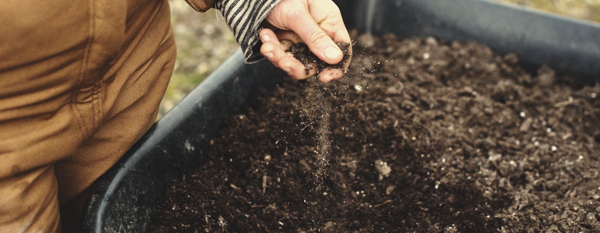 KNF und Direktsaat-Landwirtschaft