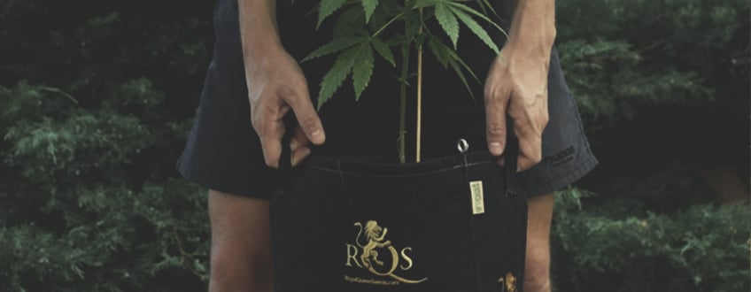 How to Move Your Indoor Cannabis Plants Outdoors How to Move Your Indoor Cannabis Plants Outdoors