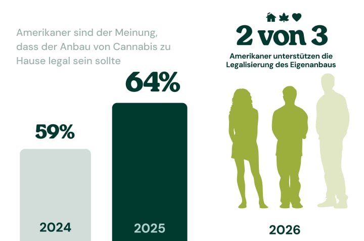 Cannabiskonsumenten bevorzugen das High gegenüber Alkohol Infografik zeigt, dass 76 % der Cannabiskonsumenten das High von Cannabis dem Rausch von Alkohol vorziehen.