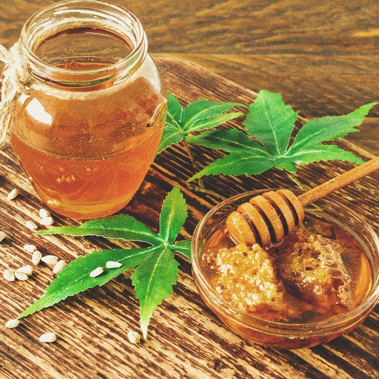 Wie man zu Hause Honig-infundierte Cannabistinktur herstellt