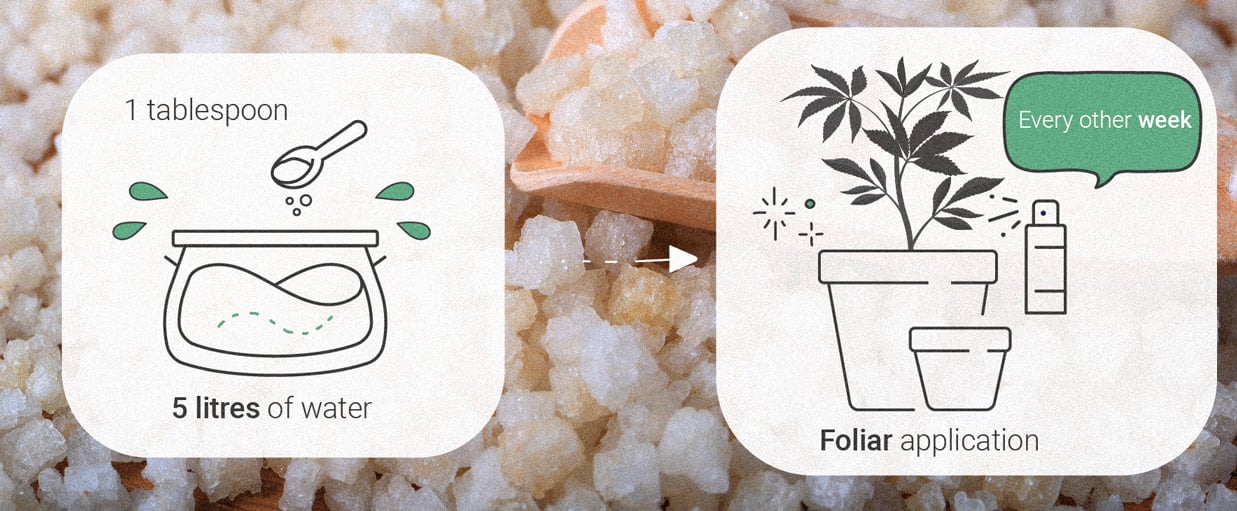 Epsom Salts: a natural hack to grow healthy cannabis plants Epsom Salts: a natural hack to grow healthy cannabis plants