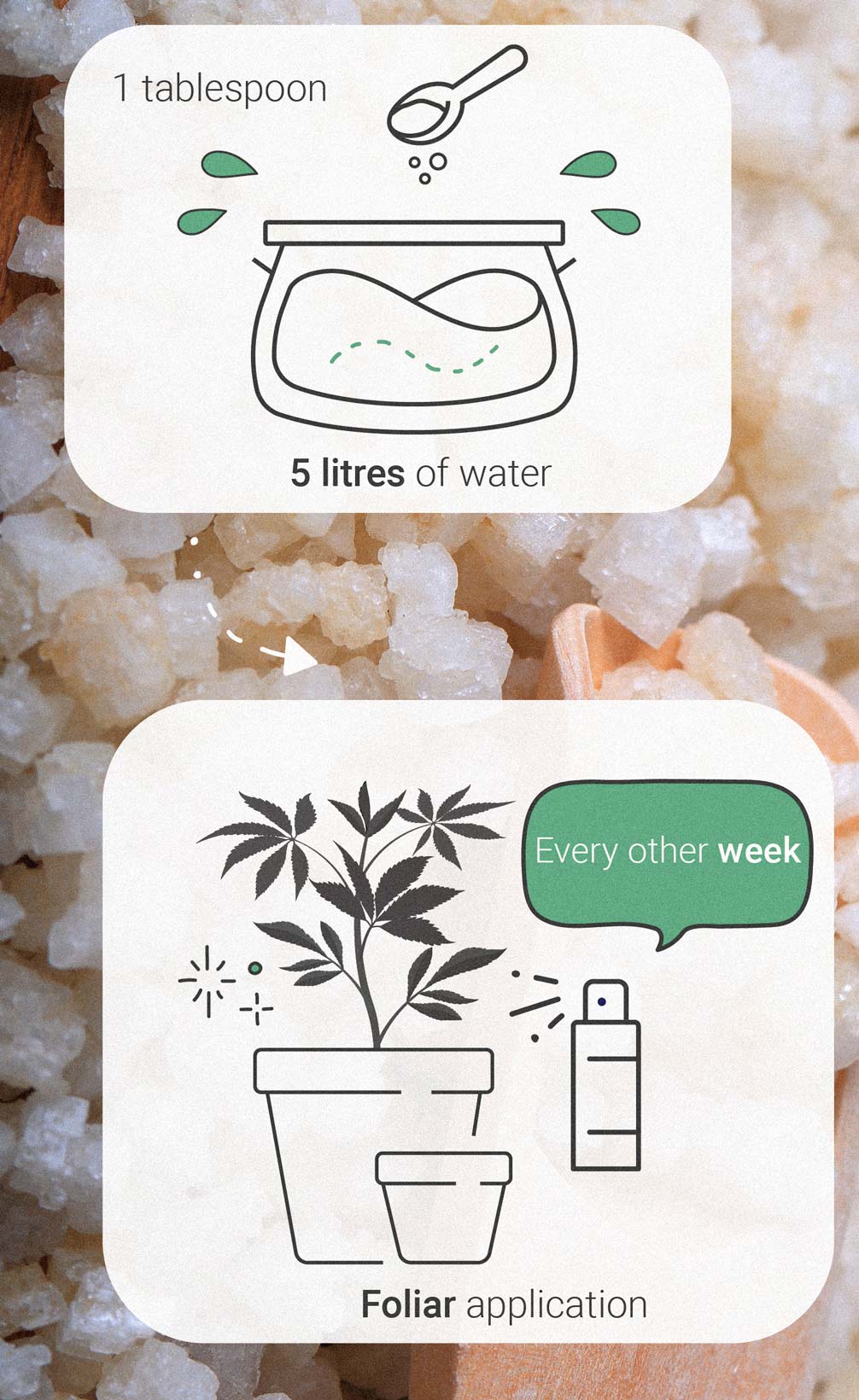 Epsom Salts: a natural hack to grow healthy cannabis plants Epsom Salts: a natural hack to grow healthy cannabis plants
