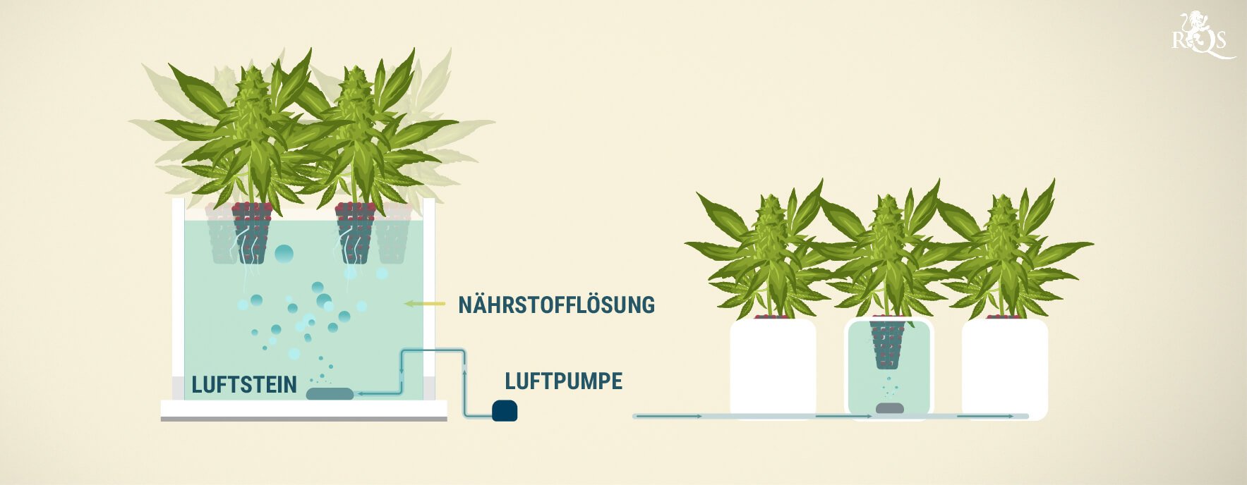 Was ist DWC? Was ist DWC?