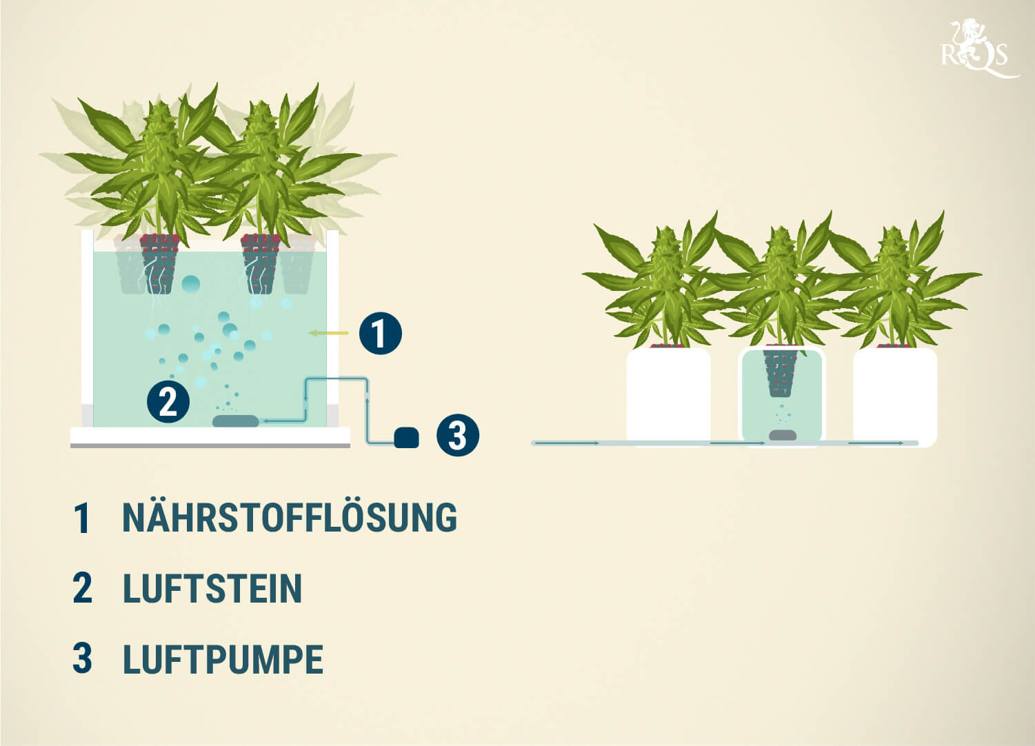 Was ist DWC? Was ist DWC?