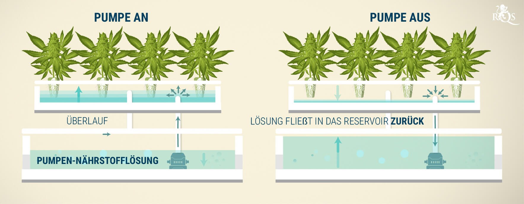 Ebbe-Flut-Systeme Ebbe-Flut-Systeme