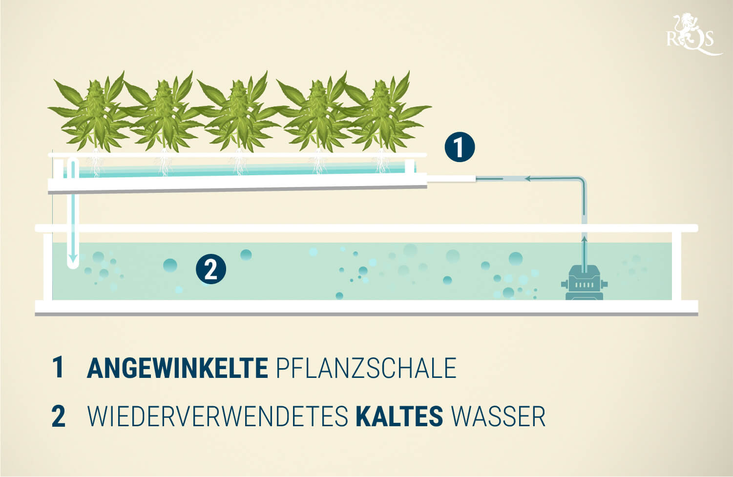Nährstoff-Film-Technik (NFT) Nährstoff-Film-Technik (NFT)