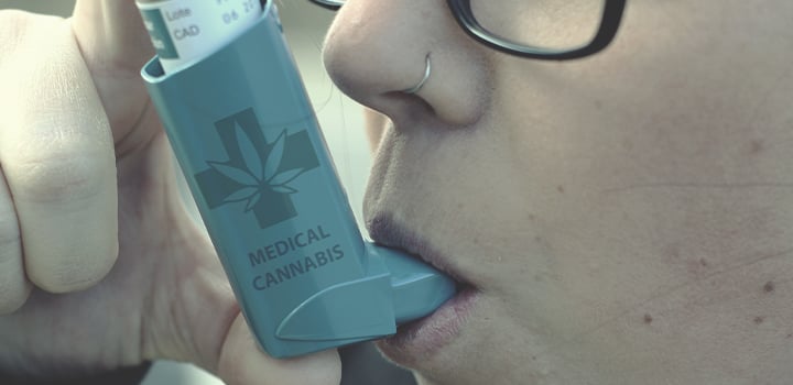 Alle Verwendungsmöglichkeiten für Cannabis Alle Verwendungsmöglichkeiten für Cannabis