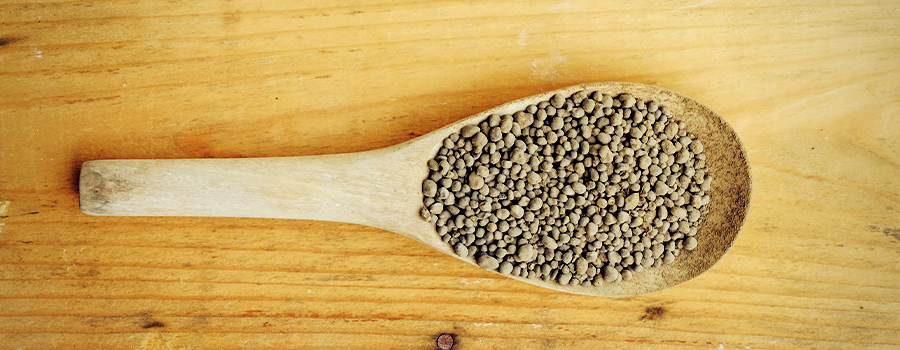 Bat Guano Dünger Cannabis Bat Guano Dünger Cannabis