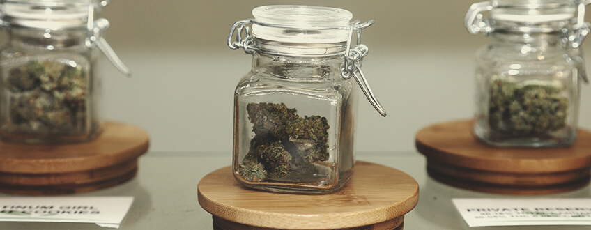So Erkennst du Beim Kauf Schimmeliges Weed So Erkennst du Beim Kauf Schimmeliges Weed