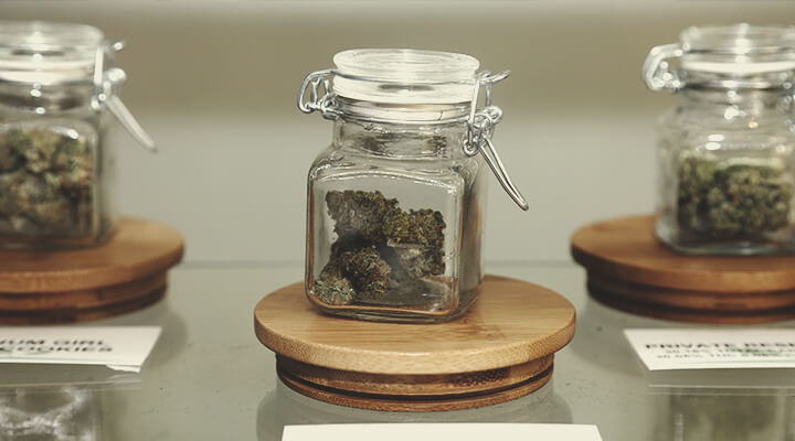 So Erkennst du Beim Kauf Schimmeliges Weed So Erkennst du Beim Kauf Schimmeliges Weed