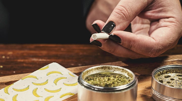 How to Roll a Jay How to Roll a Jay