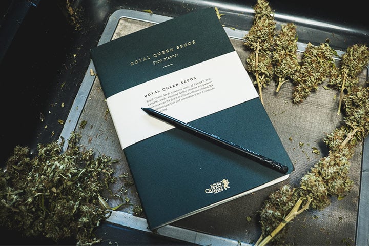 Jaournaling Journaling