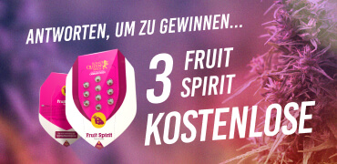 Answer to win 3 FREE Fruit Spirit