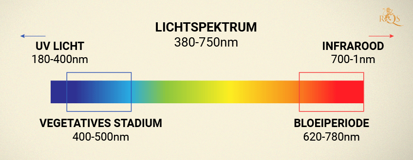 DAS FALSCHE LICHTSPEKTRUM