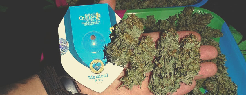 Medical Mass Medical Mass