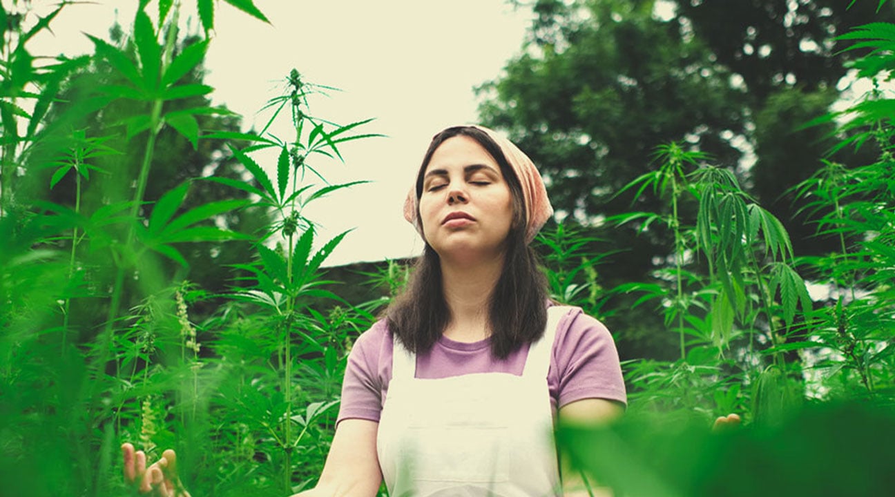Kannst Du uns eine Übung nennen, die wir verwenden könnten, um mit Cannabis zu meditieren?