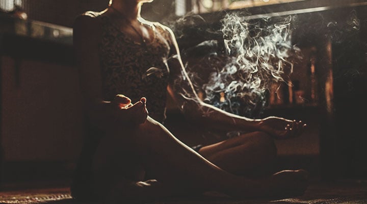 Geschmack und Wirkung von Cannabissorten: Ein Leitfaden Geschmack und Wirkung von Cannabissorten: Ein Leitfaden