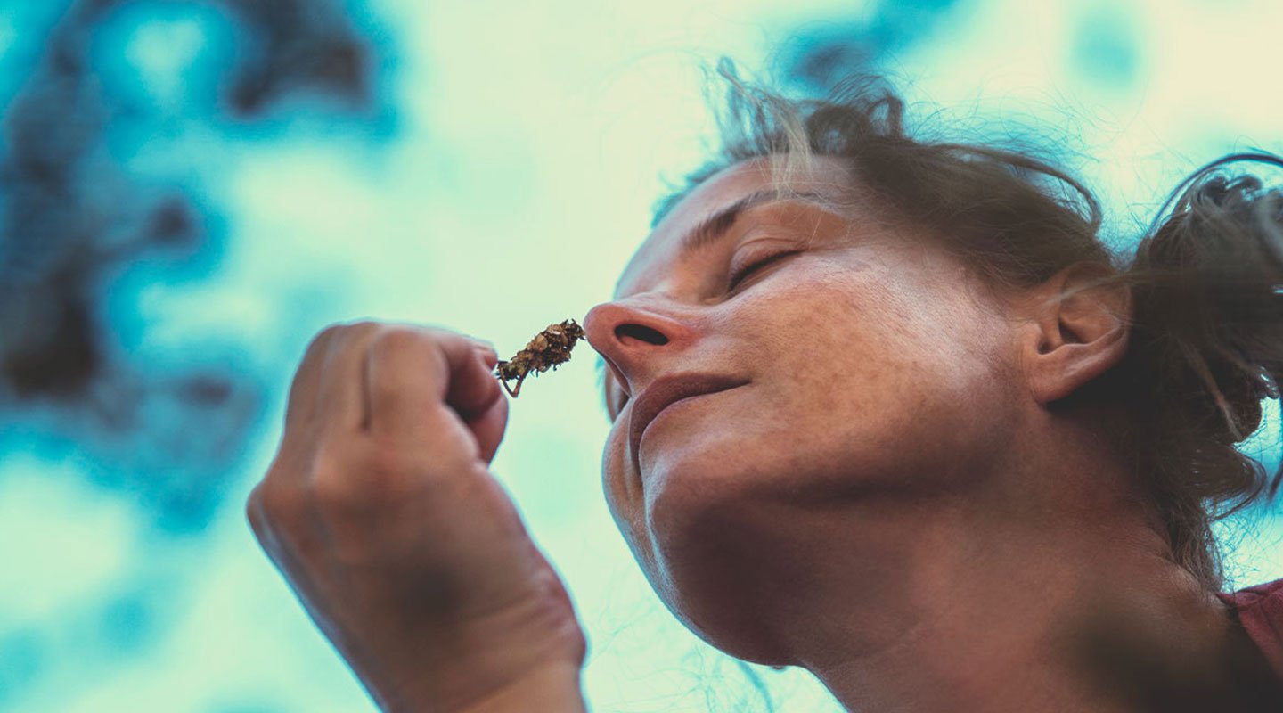 Kann Cannabis Menschen dabei helfen, mit Ängsten, Stress, Gewichtsabnahme, Alkoholentzug und Ähnlichem umzugehen?