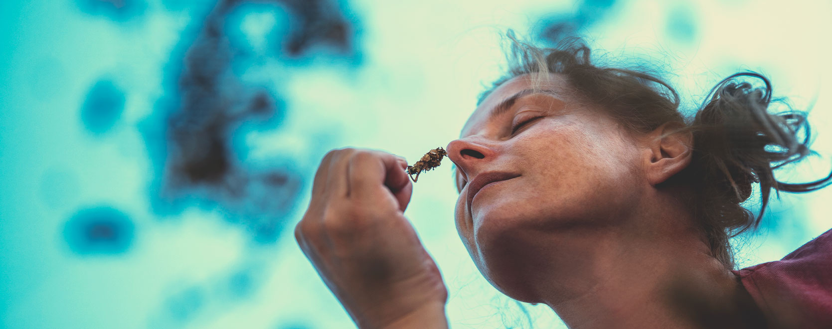 Kann Cannabis Menschen dabei helfen, mit Ängsten, Stress, Gewichtsabnahme, Alkoholentzug und Ähnlichem umzugehen?