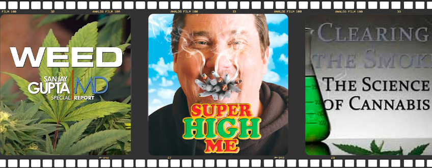 Dokumentationen Über Cannabis Dokumentationen Über Cannabis