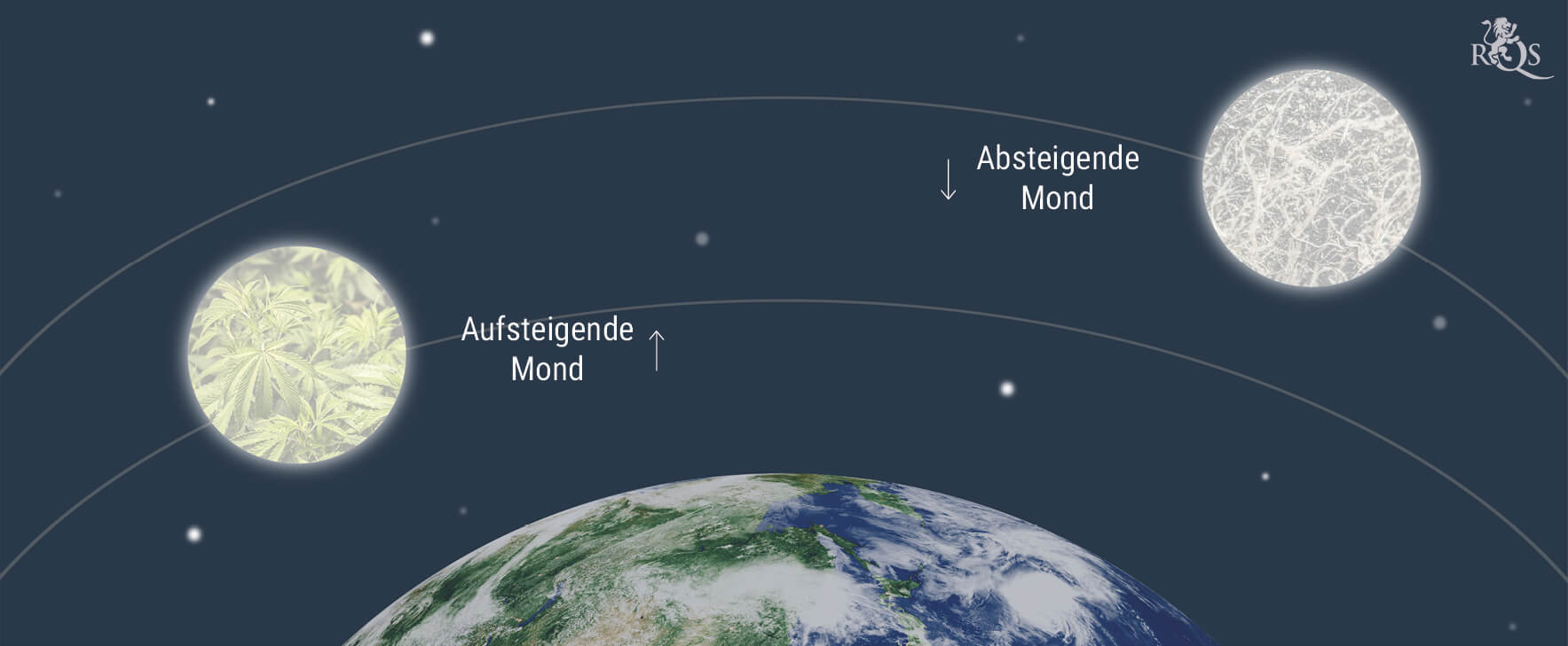 Wie der Mond den Cannabisanbau beeinflusst Wie der Mond den Cannabisanbau beeinflusst