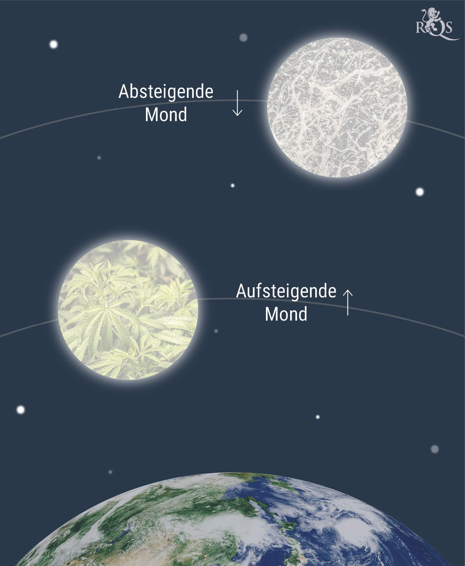 Wie der Mond den Cannabisanbau beeinflusst Wie der Mond den Cannabisanbau beeinflusst