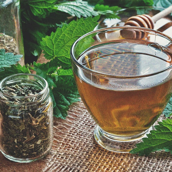 Organische Cannabisnährstoffe und Pflanzenheilmittel Organische Cannabisnährstoffe und Pflanzenheilmittel