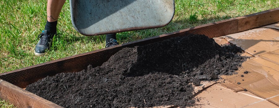 No Till Gardening Technique