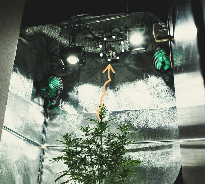 Alles Wissenswerte über Cannabis-Growboxen Alles Wissenswerte über Cannabis-Growboxen