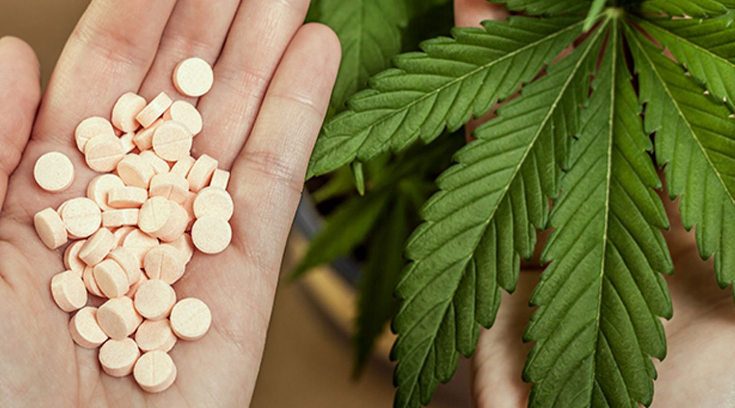 Könnte Cannabis anstelle von Opioiden verwendet werden?