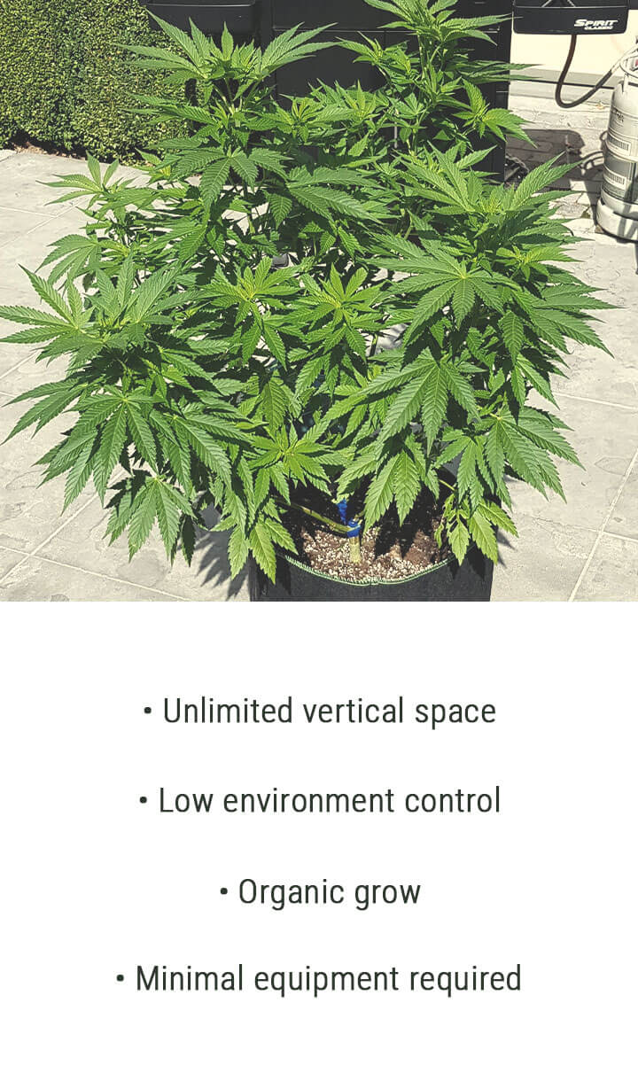 OUTDOOR OUTDOOR