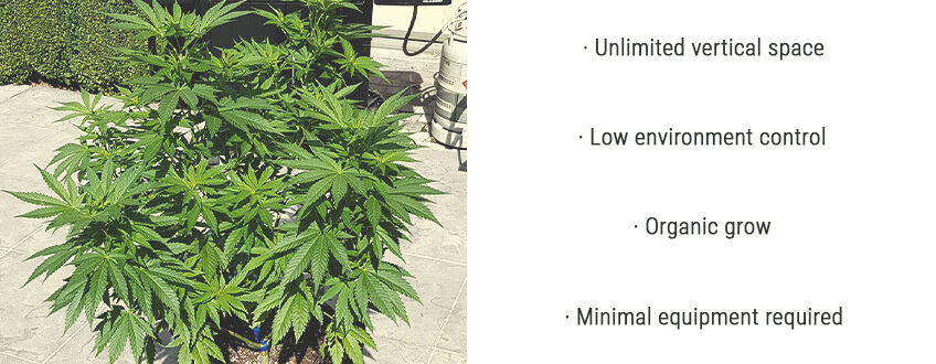 OUTDOOR OUTDOOR