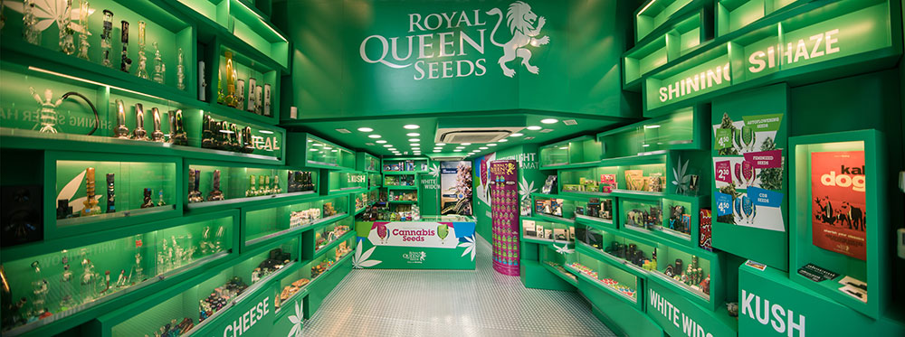 Besuche den Laden von Royal Queen Seeds in Barcelona