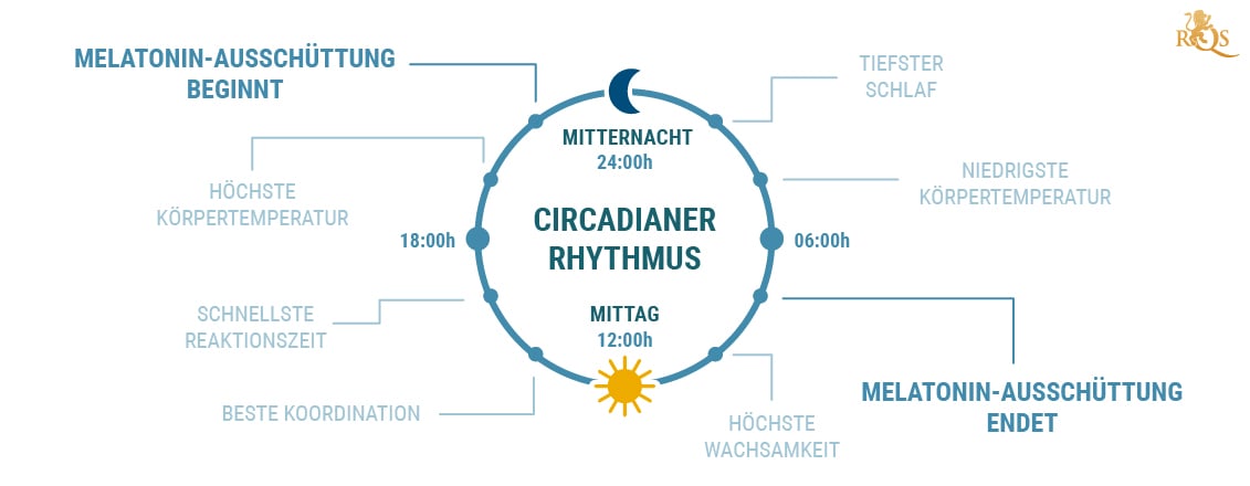 Was ist der zirkadiane Rhythmus?