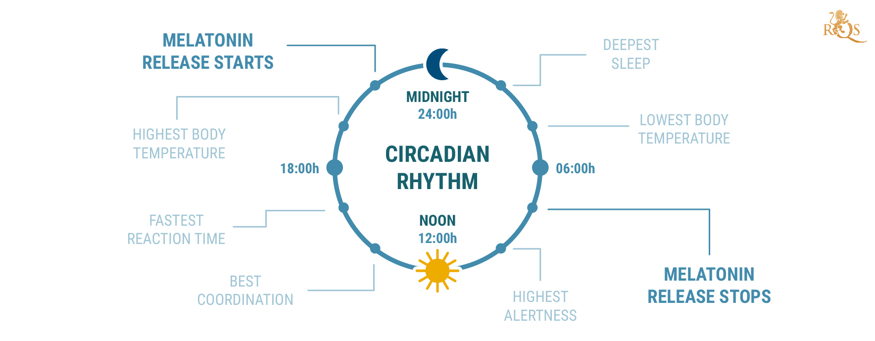 Was ist der zirkadiane Rhythmus? Was ist der zirkadiane Rhythmus?