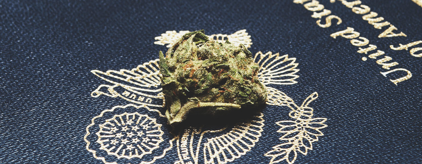 Growing Cannabis In The US Growing Cannabis In the US