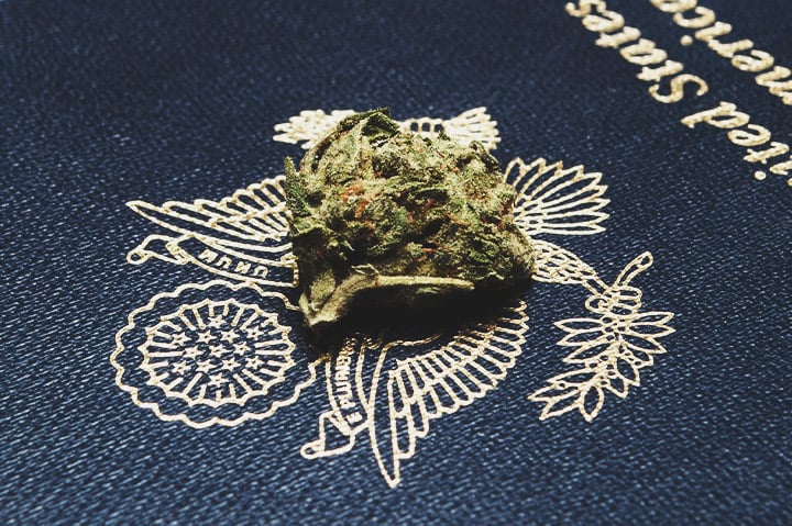 Growing Cannabis In The US Growing Cannabis In The US