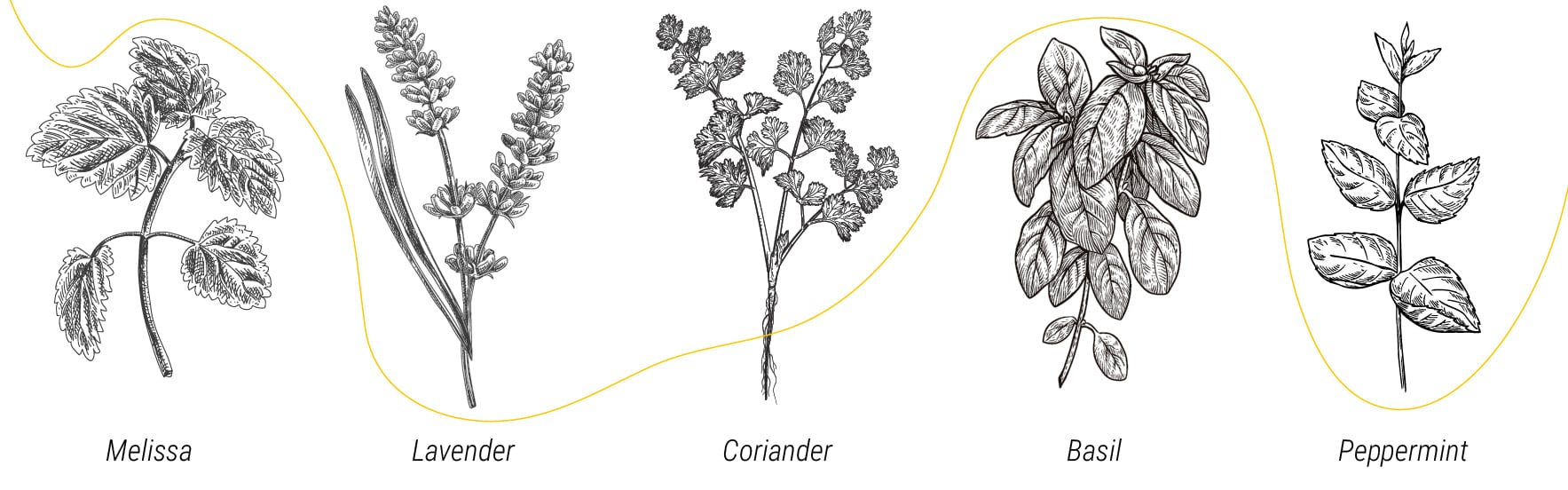 How To Prevent Pests From Invading Your Outdoor Cannabis Grow How To Prevent Pests From Invading Your Outdoor Cannabis Grow