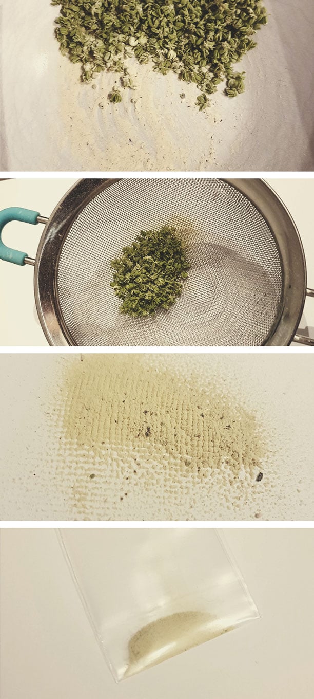 Wie man Cannabispollen erntet Wie man Cannabispollen erntet