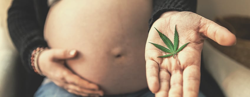 Was sind die potenziellen Risiken des Rauchens von Cannabis während der Schwangerschaft?