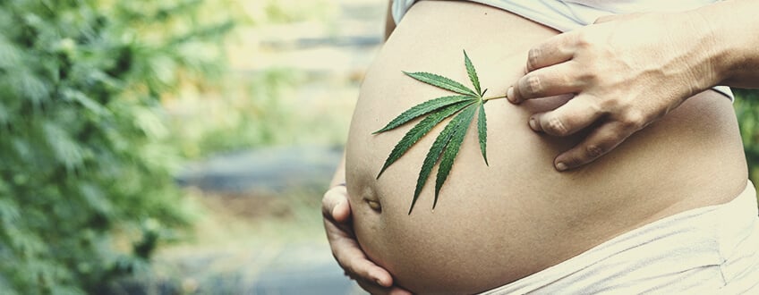 Cannabis- und CBD-Konsum während der Schwangerschaft