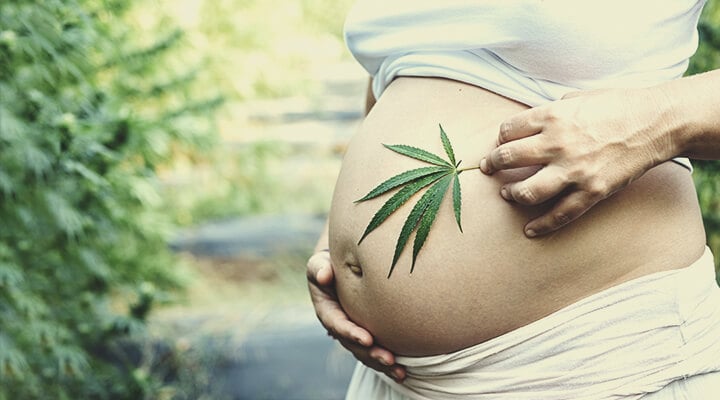 Cannabis- und CBD-Konsum während der Schwangerschaft