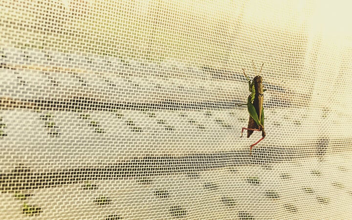Insektennetze Insektennetze